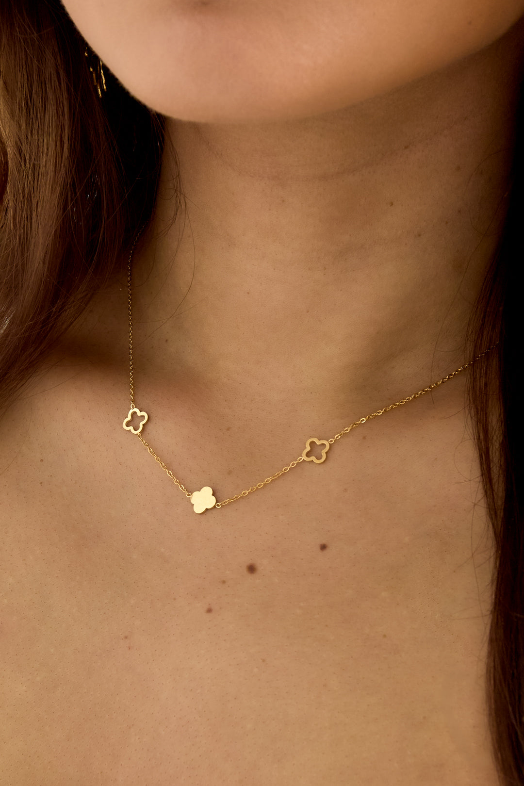Collier trèfles Couleur or Acier inoxydable